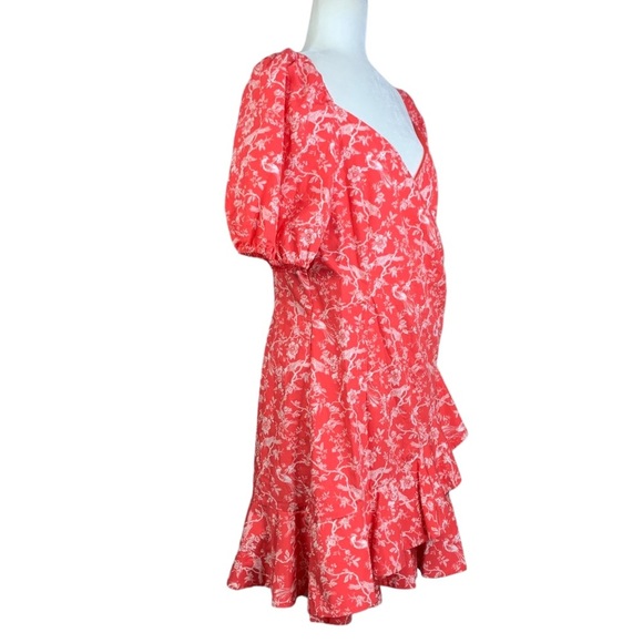 Sachin & Babi 12 Floral Bird Print Ruffles Anthropologie Feminine - Picture 3 of 16